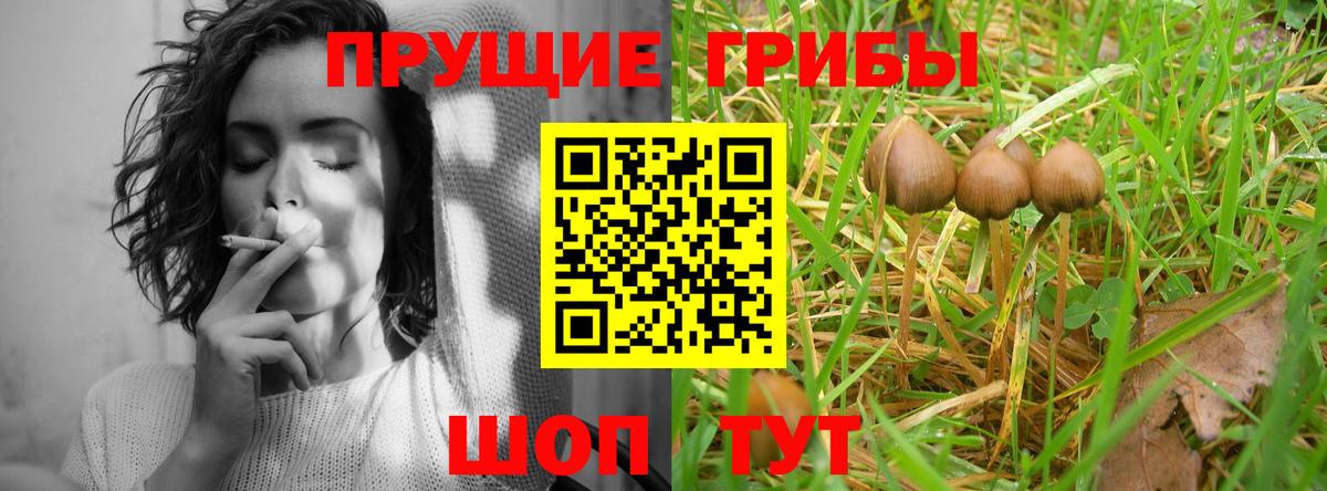 Псилоцибиновые грибы Magic Shrooms Нефтекамск